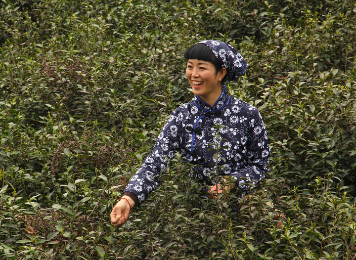 霓虹直播间